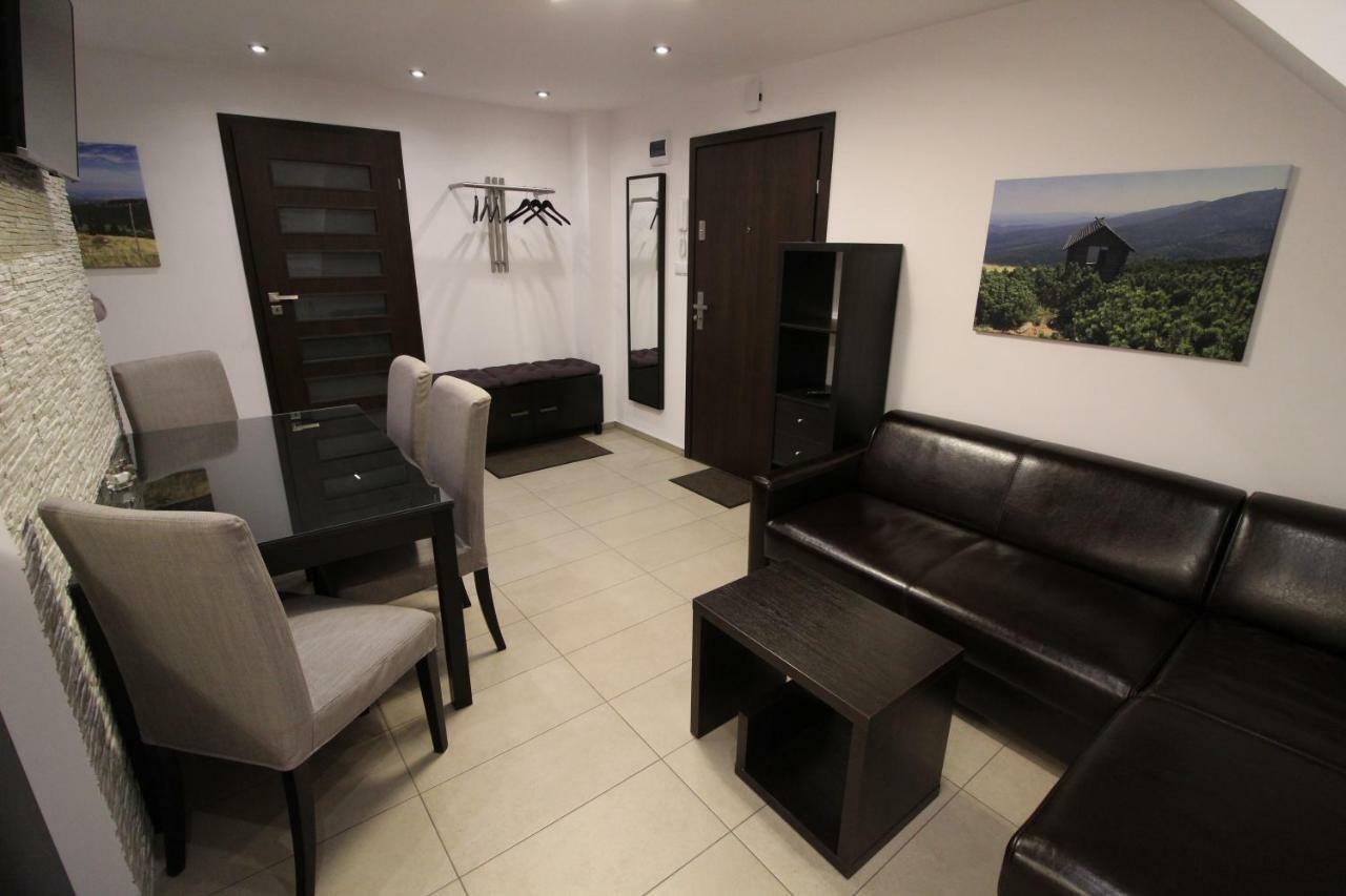 Apartament Meander Apartment Шклярска Поремба Екстериор снимка